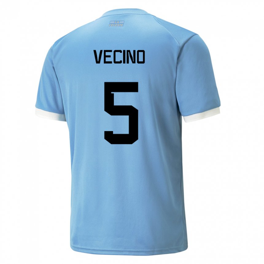 Mujer Camiseta Uruguay Matias Vecino #5 Azul 1ª Equipación 22-24 La Camisa México