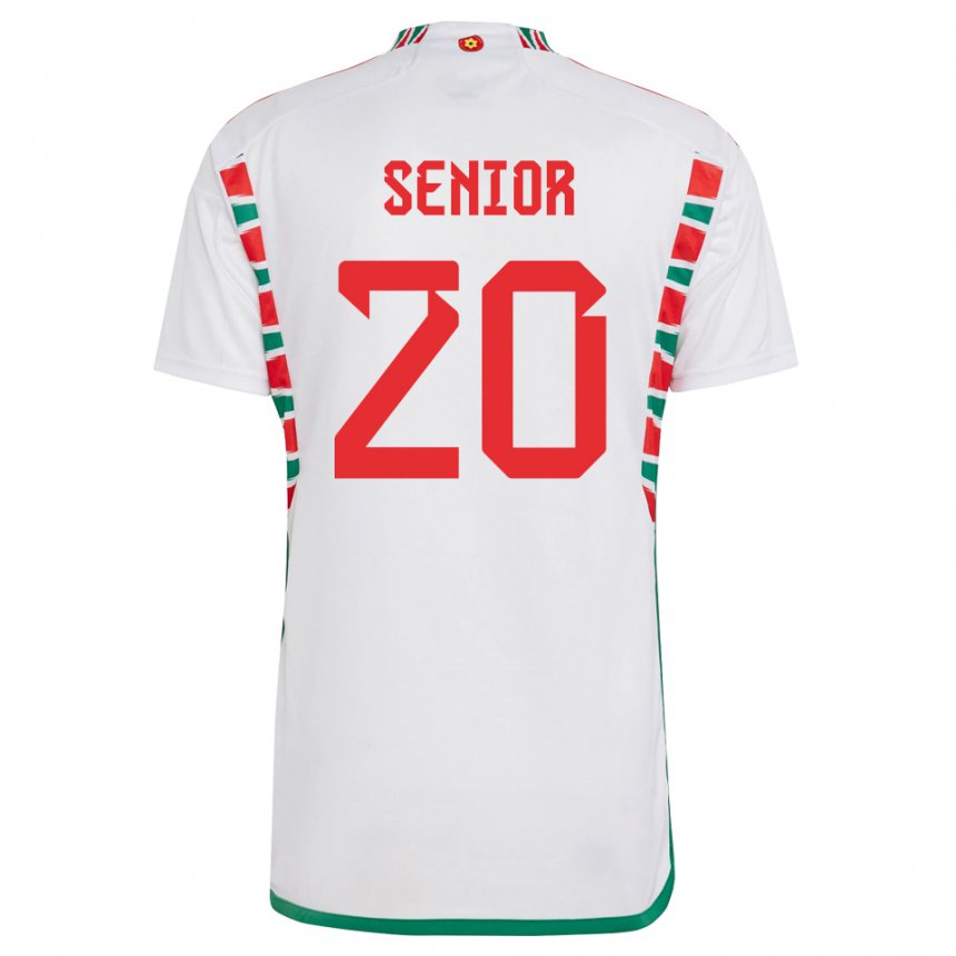 Niño Camiseta Gales Matt Senior #20 Blanco 2ª Equipación 22-24 La Camisa México