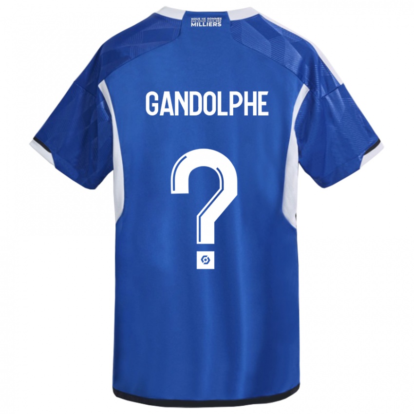 Hombre Camiseta Adrien Gandolphe #0 Azul 1ª Equipación 2023/24 La Camisa México