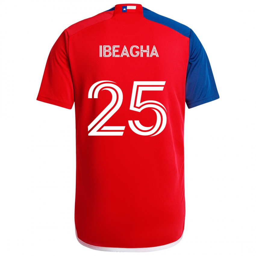 Niño Camiseta Sebastien Ibeagha #25 Azul Rojo 1ª Equipación 2024/25 La Camisa México