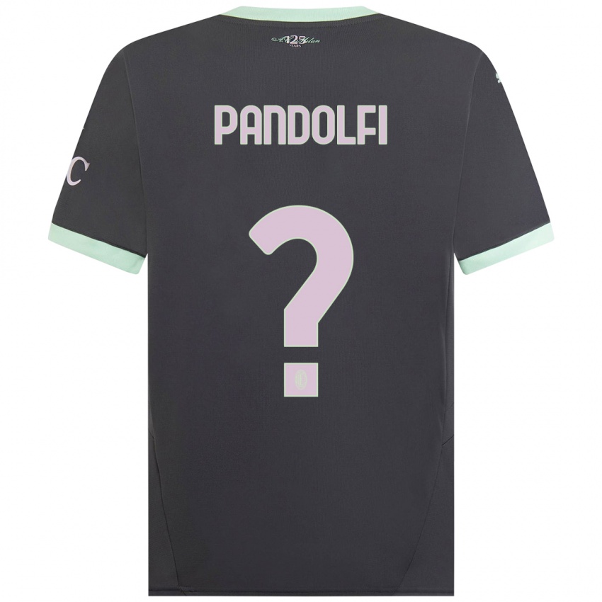 Niño Camiseta Fabio Pandolfi #0 Gris Equipación Tercera 2024/25 La Camisa México